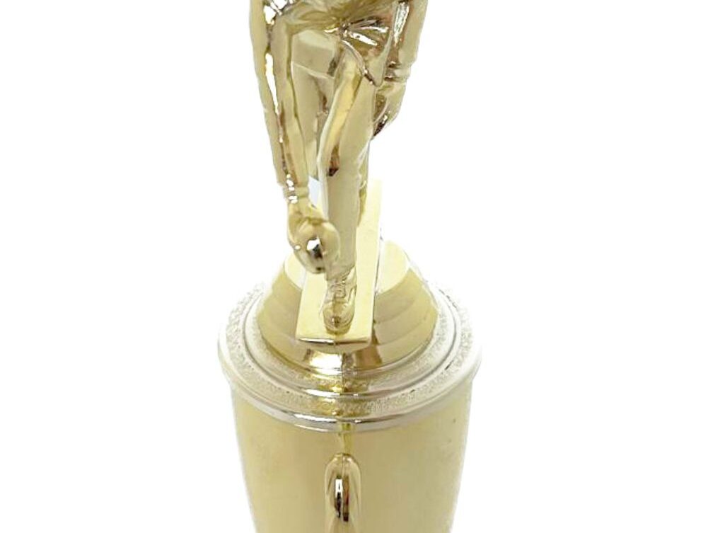 Bowls Lawn Bowler Male Trophy 265mm