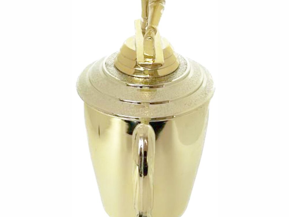 Bowls Lawn Bowler Male Trophy 345mm