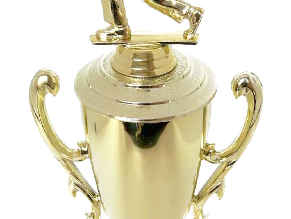 Bowls Lawn Bowler Male Trophy 345mm