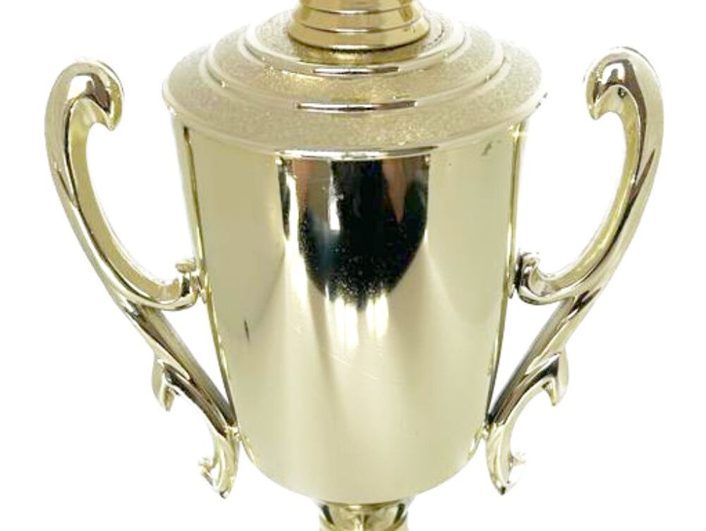 Bowls Lawn Bowler Male Trophy 385mm