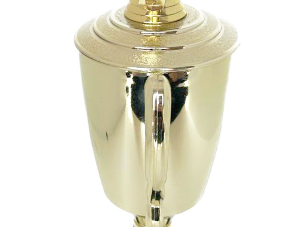 Bowls Lawn Bowler Male Trophy 385mm