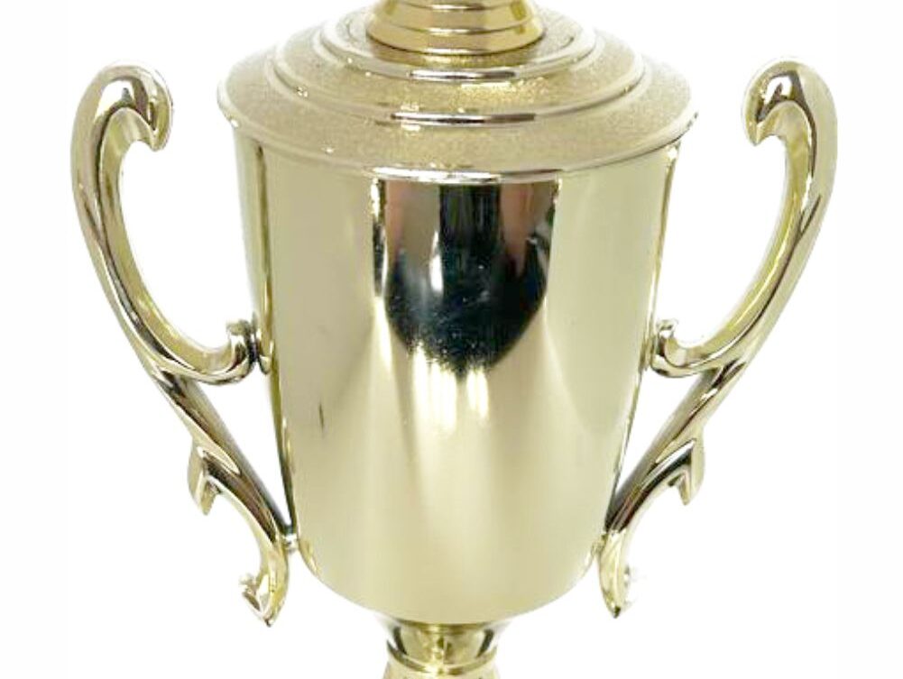 Bowls Lawn Bowler Male Trophy 385mm