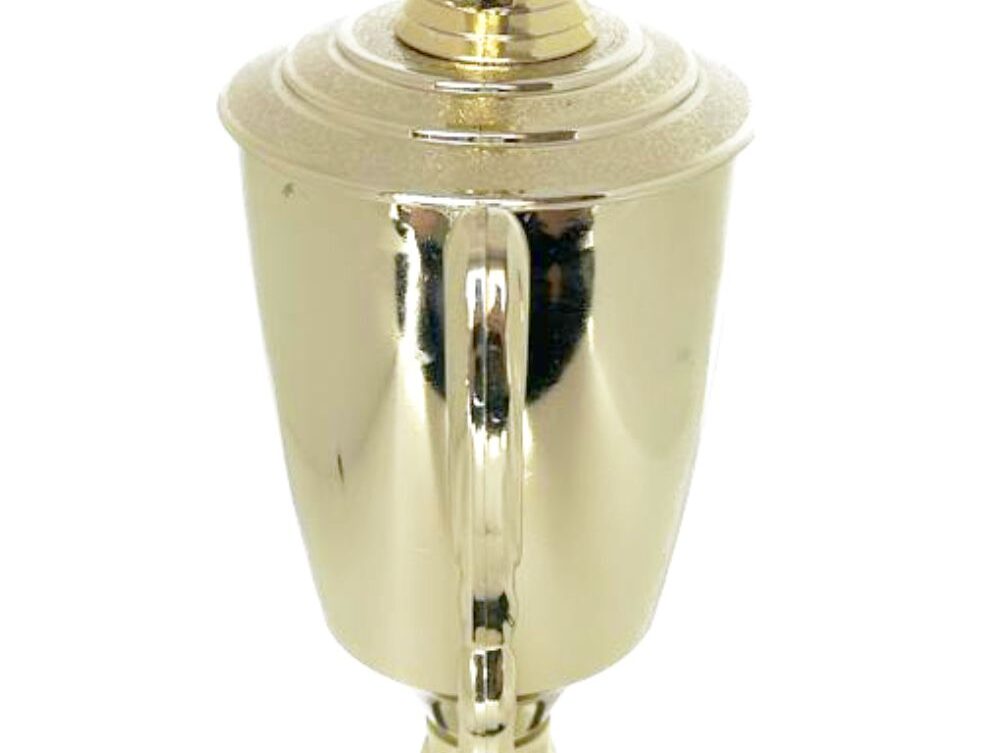 Bowls Lawn Bowler Male Trophy 385mm