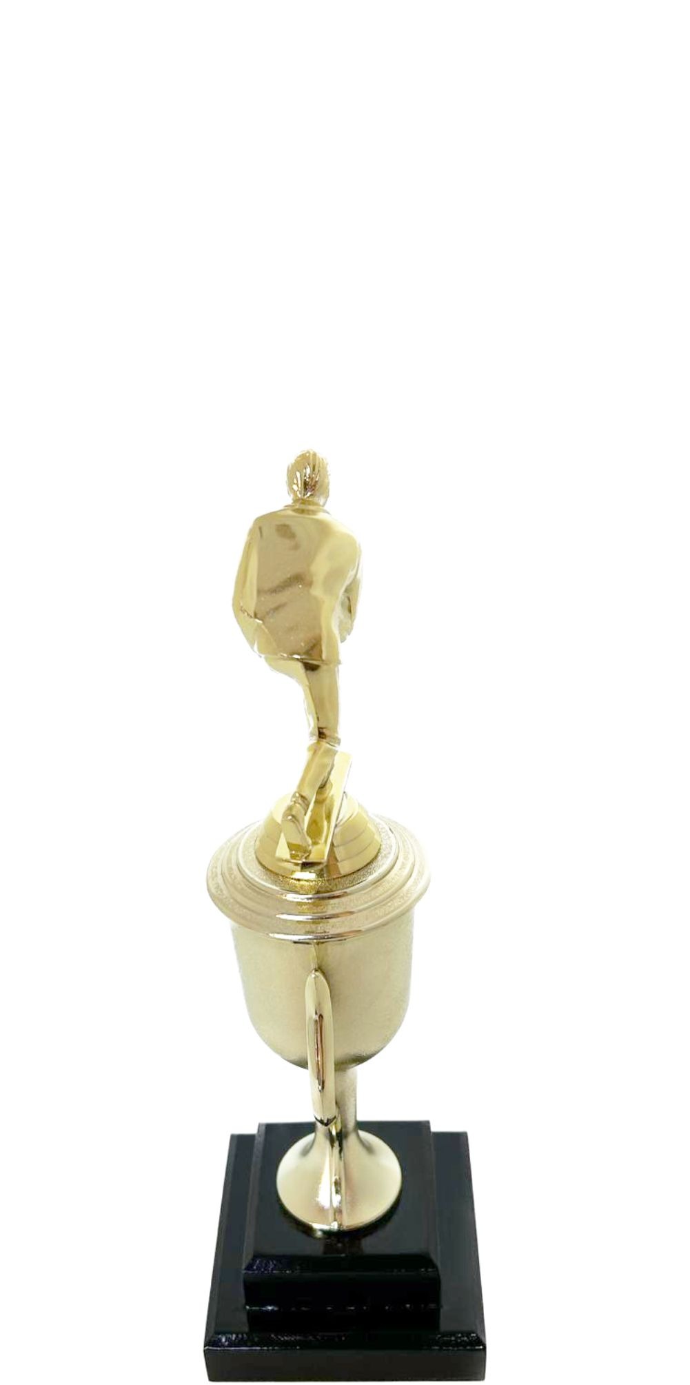 Bowls Lawn Bowler Male Trophy 245mm