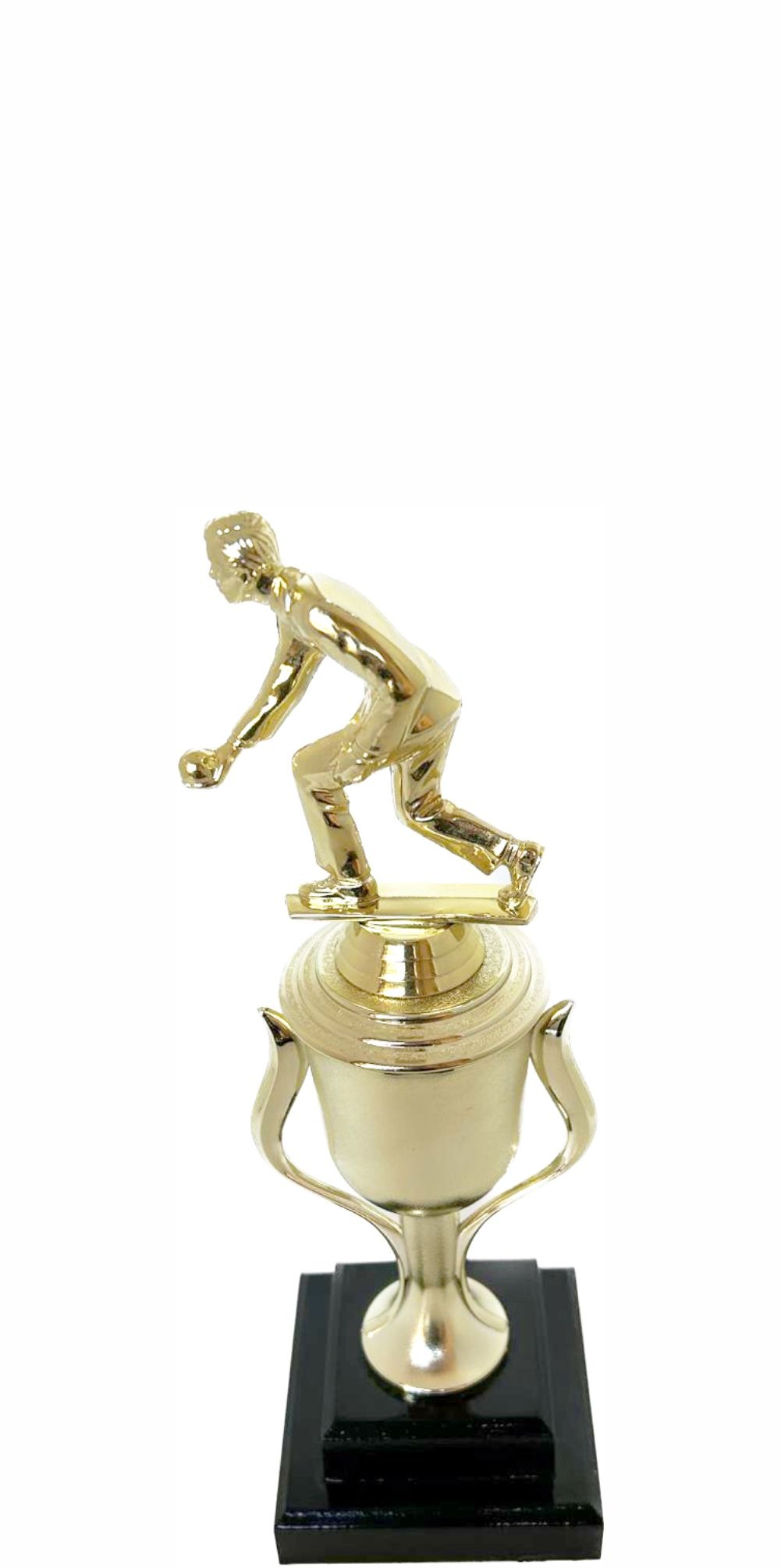Bowls Lawn Bowler Male Trophy 245mm