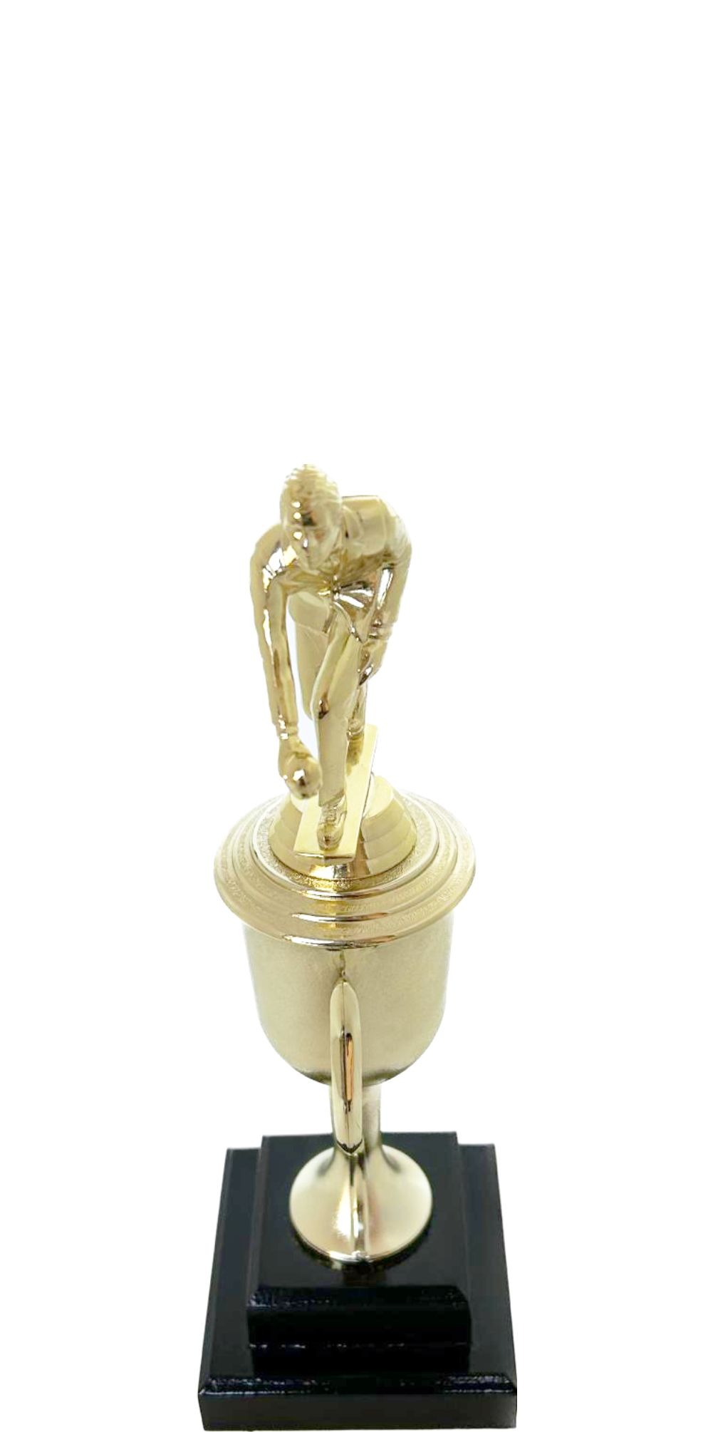 Bowls Lawn Bowler Male Trophy 245mm
