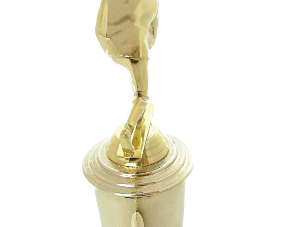 Bowls Lawn Bowler Male Trophy 265mm