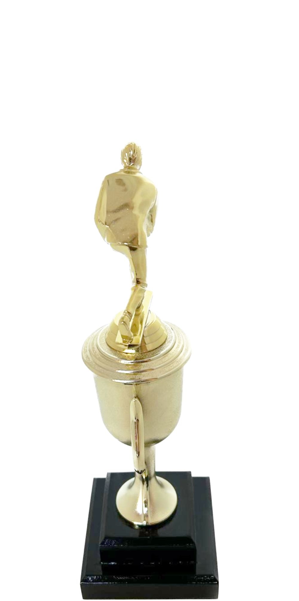 Bowls Lawn Bowler Male Trophy 265mm