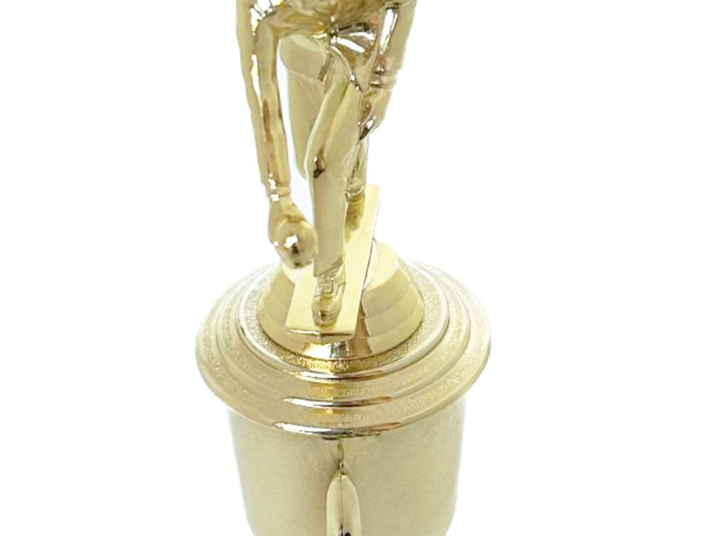 Bowls Lawn Bowler Male Trophy 265mm