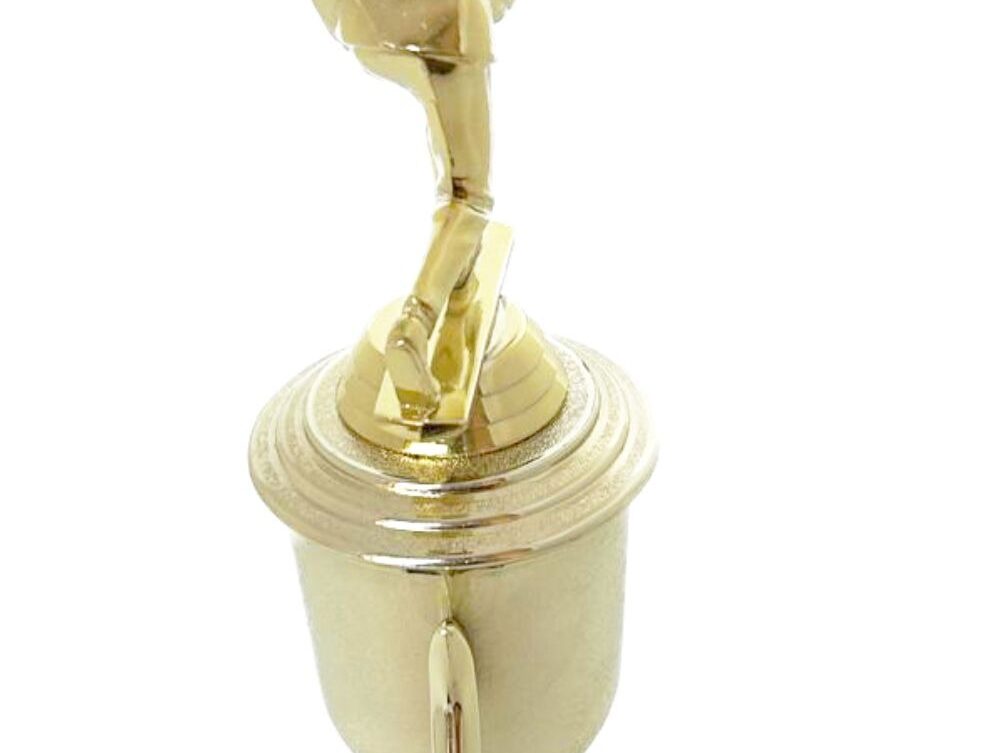 Bowls Lawn Bowler Male Trophy 305mm
