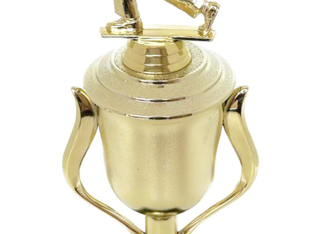 Bowls Lawn Bowler Male Trophy 345mm