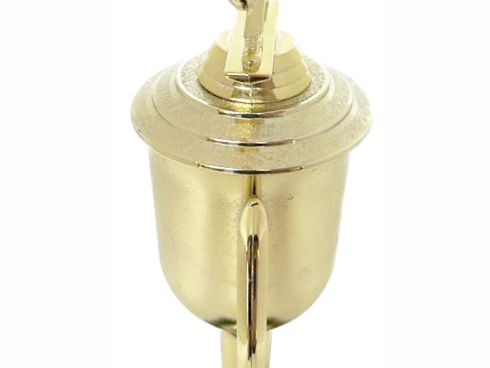 Bowls Lawn Bowler Male Trophy 345mm