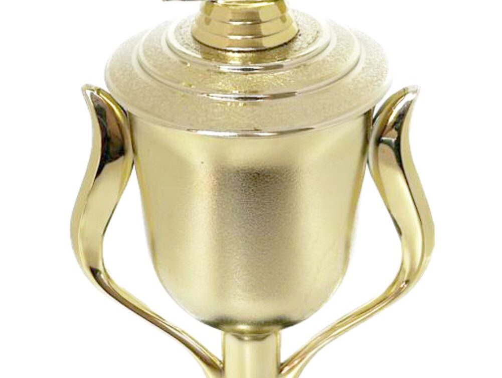 Bowls Lawn Bowler Male Trophy 385mm