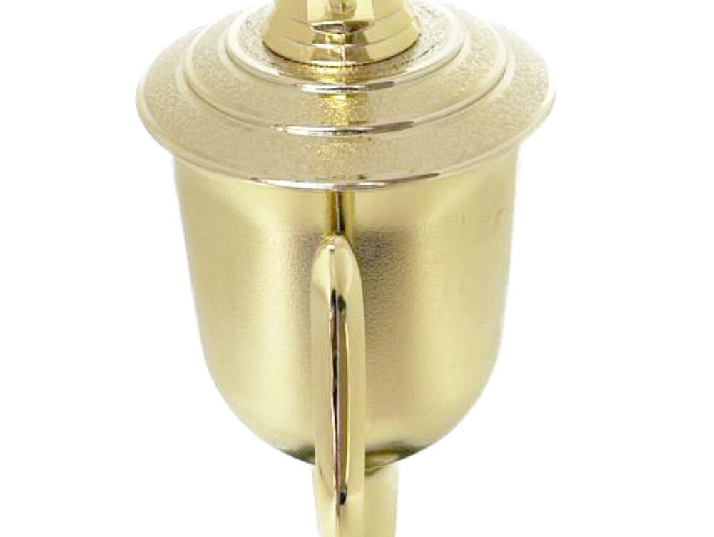 Bowls Lawn Bowler Male Trophy 385mm