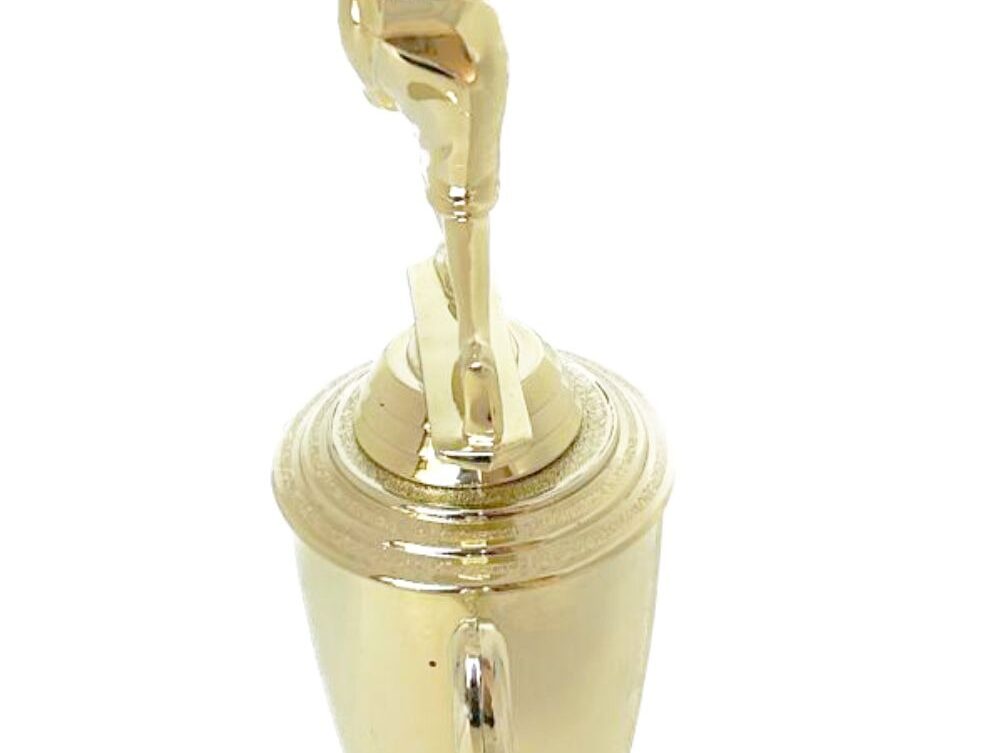 Bowls Lawn Bowler Female Trophy 340mm