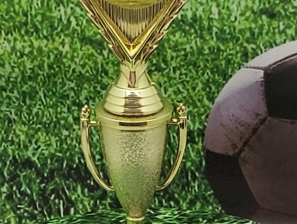 Soccer Ball Trophy 265mm