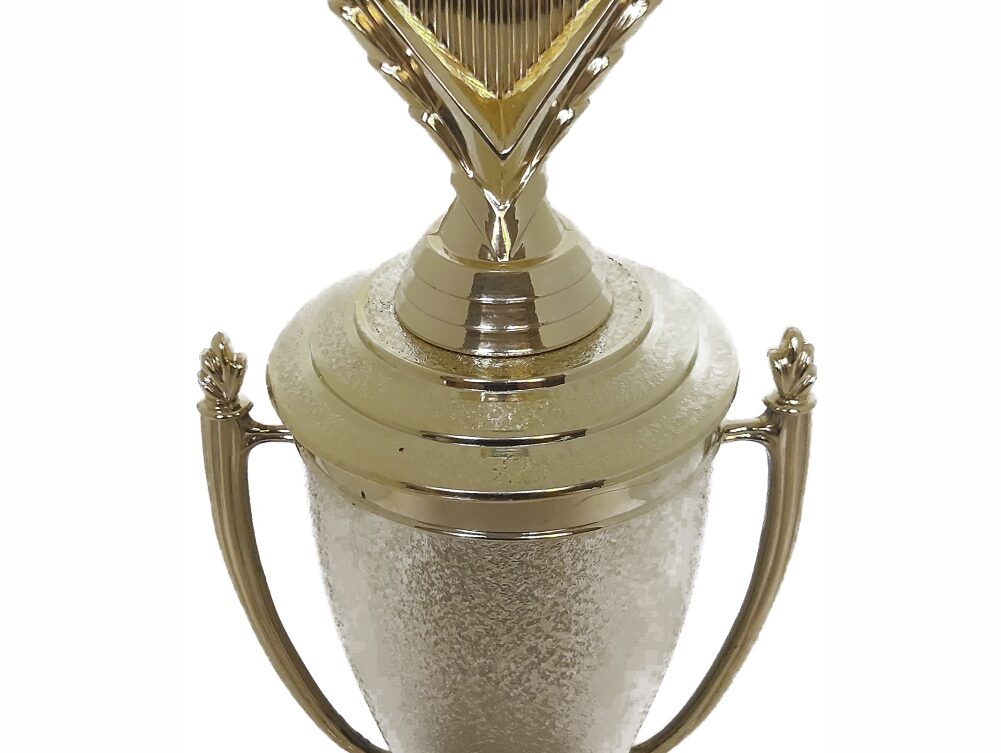 Soccer Ball Trophy 365mm