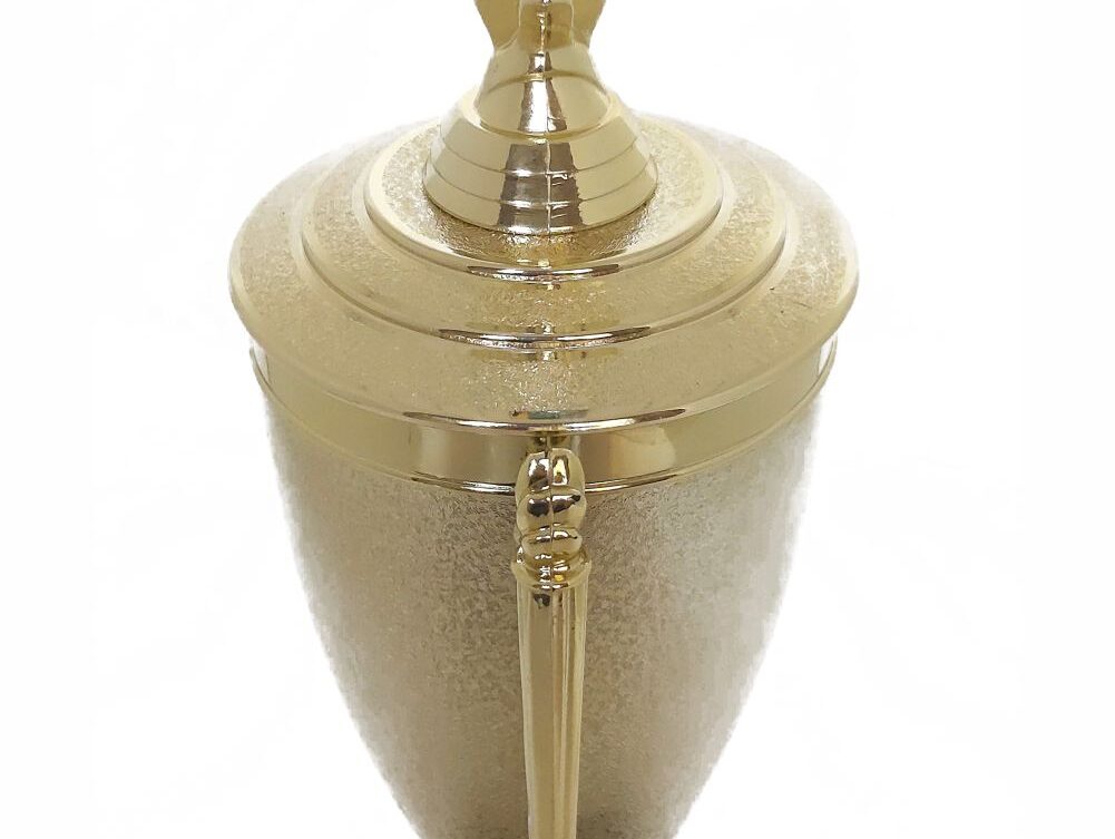 Soccer Ball Trophy 405mm