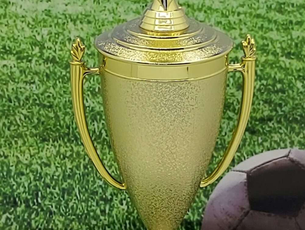 Soccer Ball Trophy 365mm