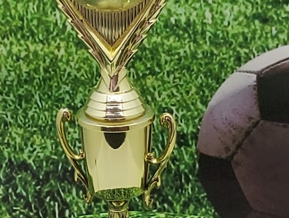 Soccer Ball Trophy 290mm