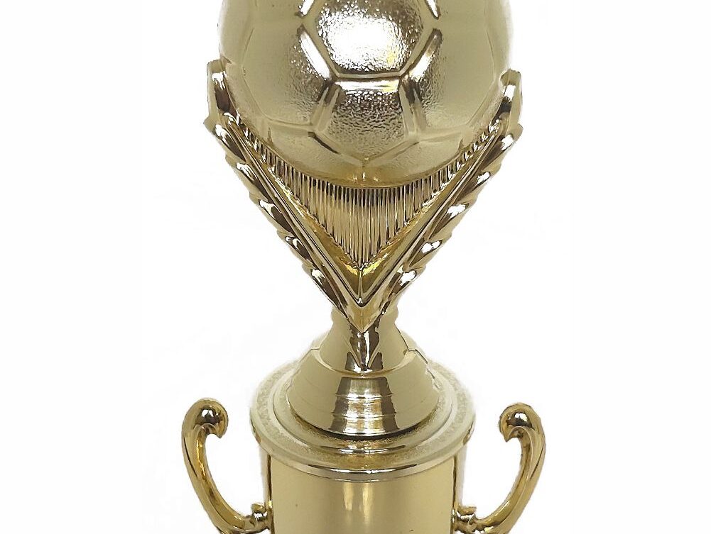 Soccer Ball Trophy 290mm