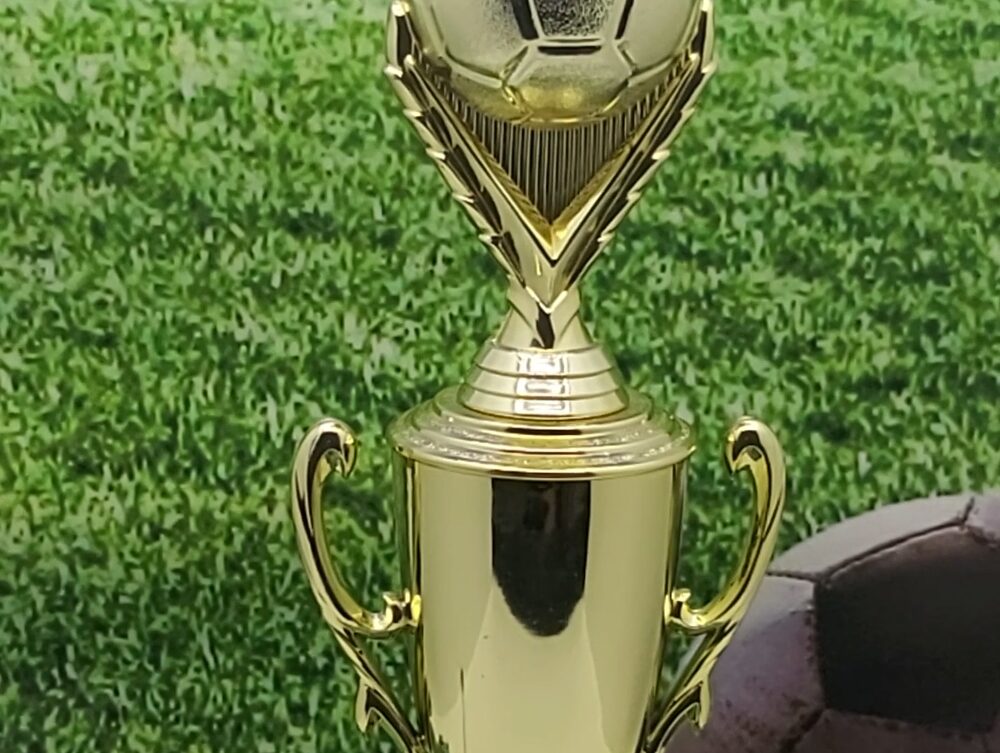 Soccer Ball Trophy 325mm