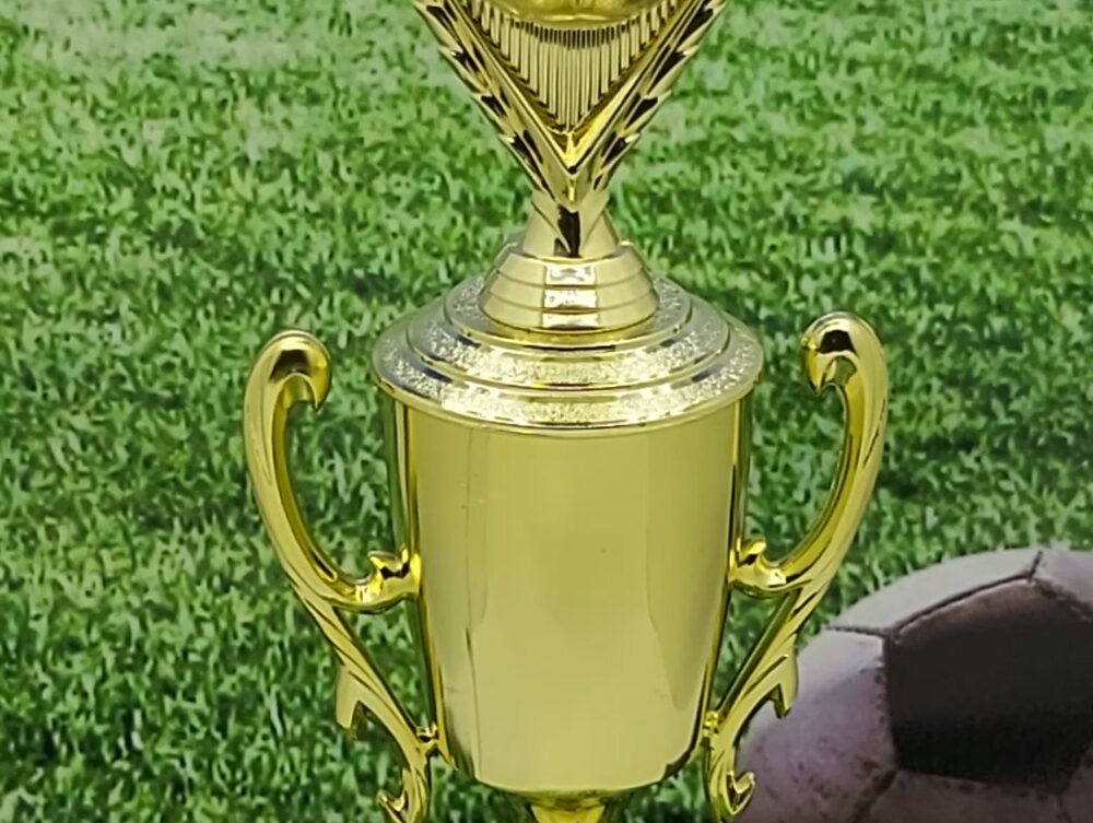 Soccer Ball Trophy 365mm