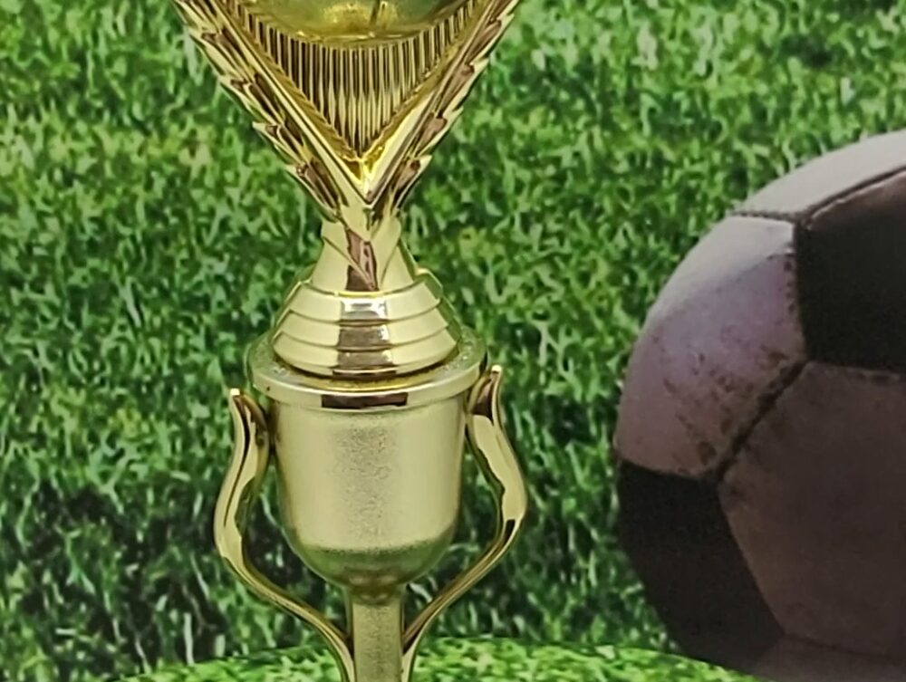 Soccer Ball Trophy 265mm