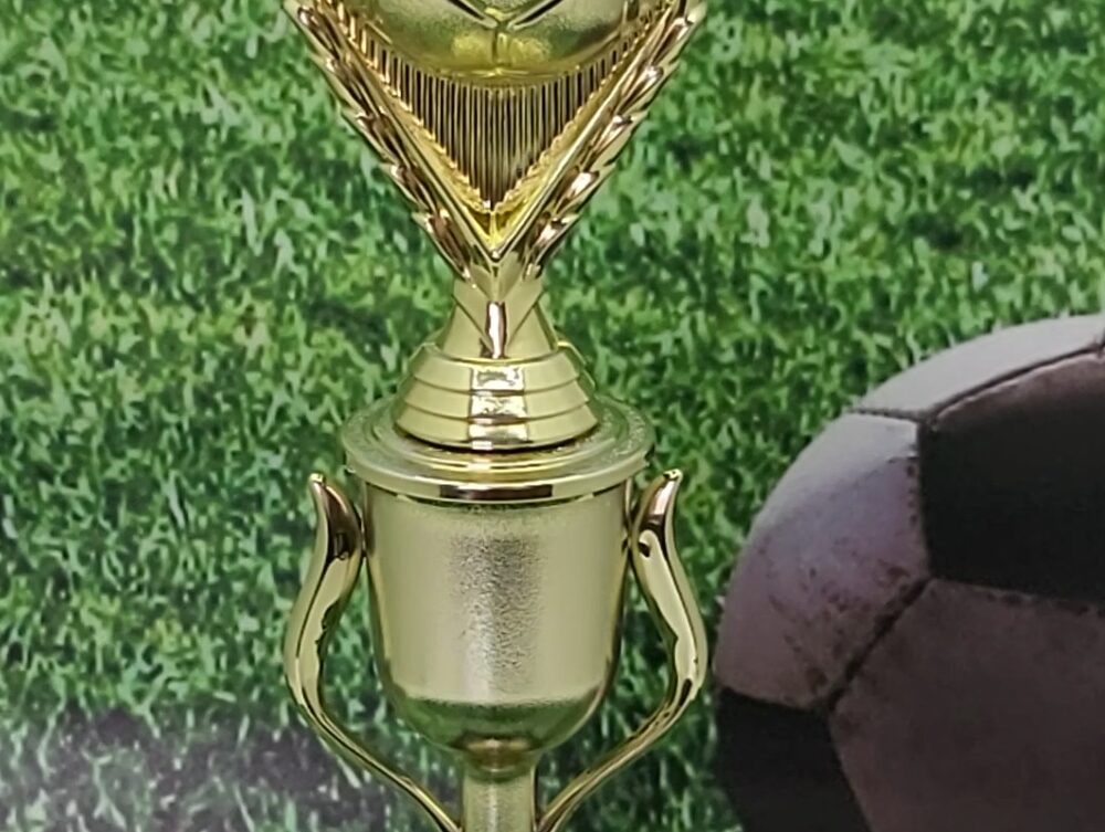 Soccer Ball Trophy 290mm