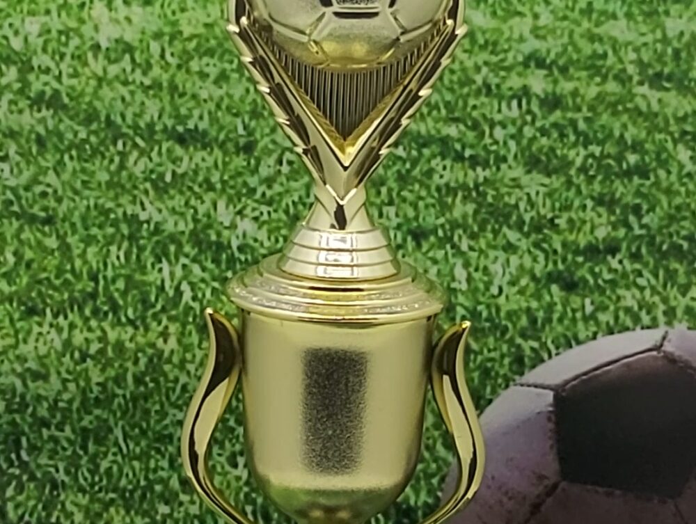Soccer Ball Trophy 325mm