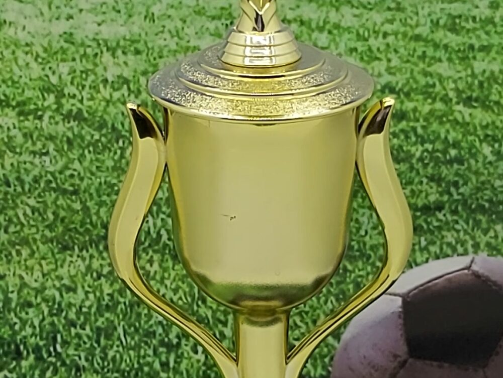 Soccer Ball Trophy 405mm