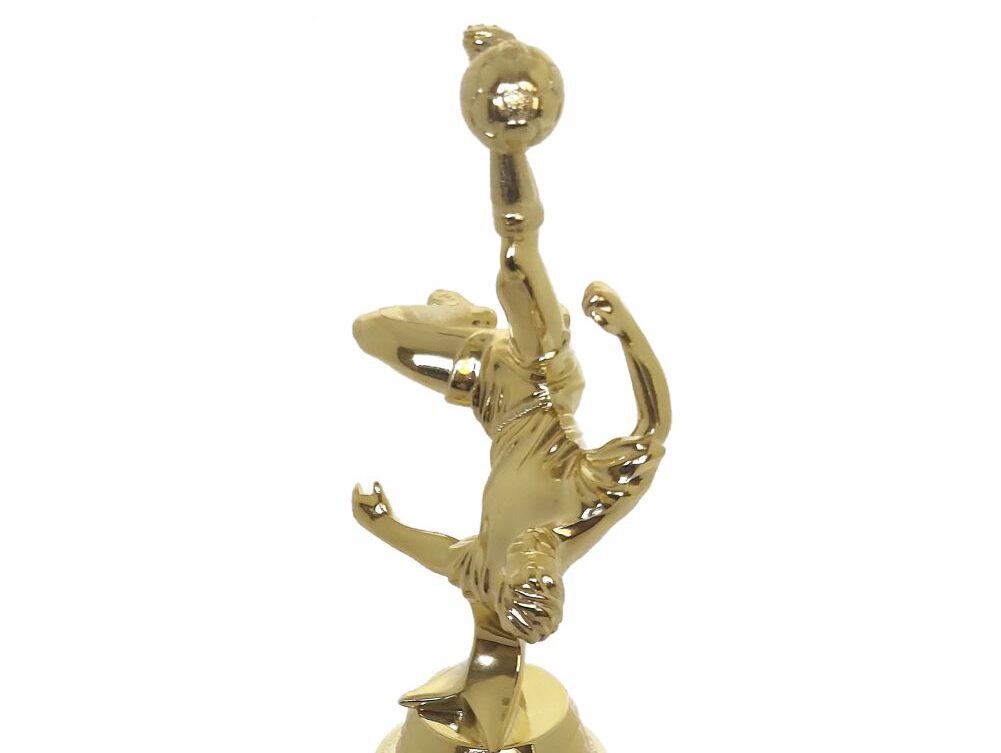 Soccer Bicycle Kick Male 265mm