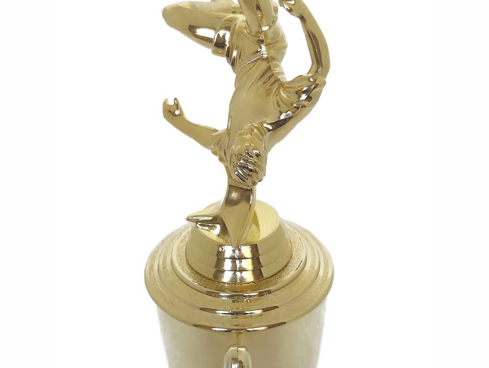 Soccer Bicycle Kick Male 325mm