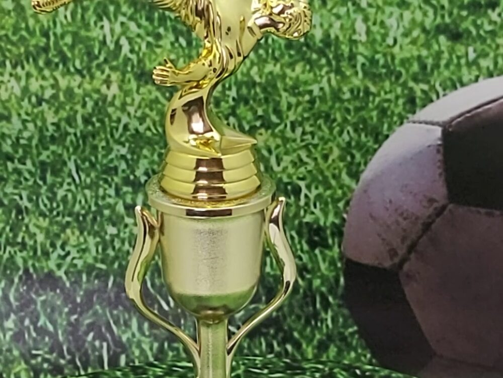 Soccer Bicycle Kick Male 265mm