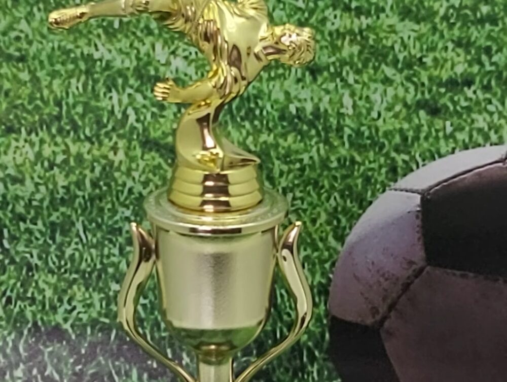 Soccer Bicycle Kick Male 290mm