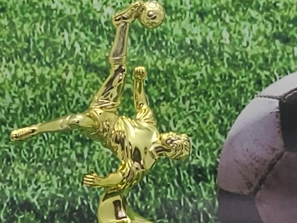 Soccer Bicycle Kick Male 175mm