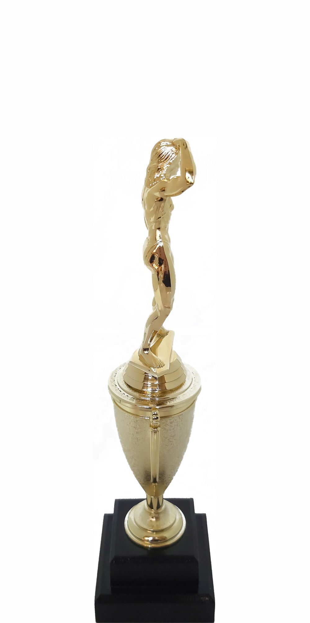 BODY BUILDER FEMALE 245MM