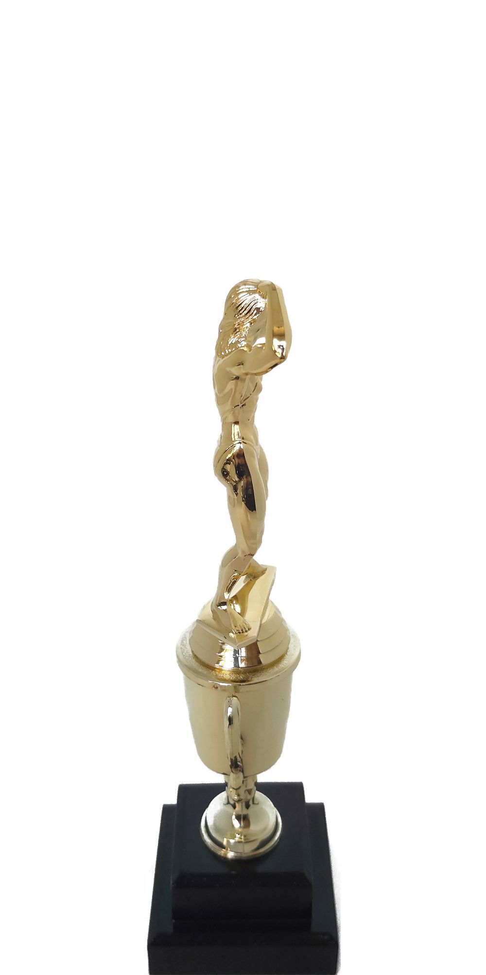 BODY BUILDER FEMALE 220MM