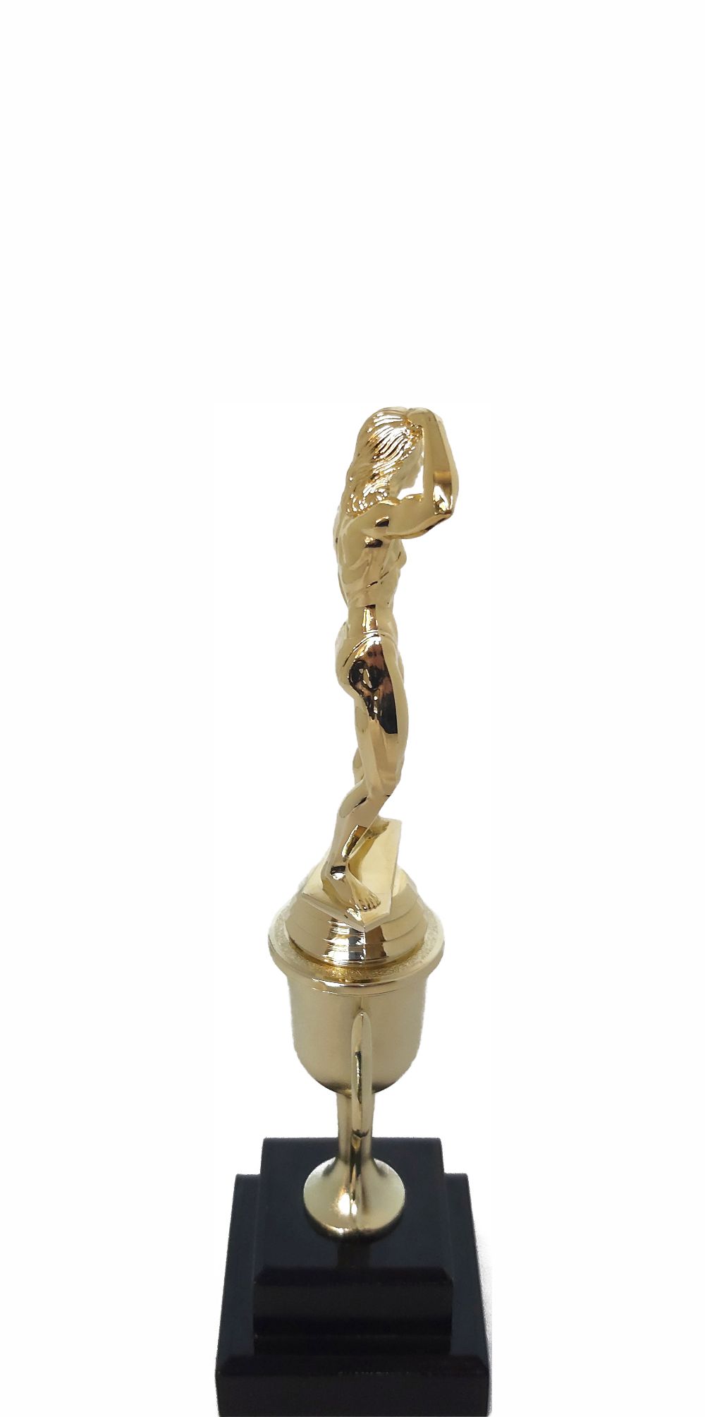 BODY BUILDER FEMALE 220MM