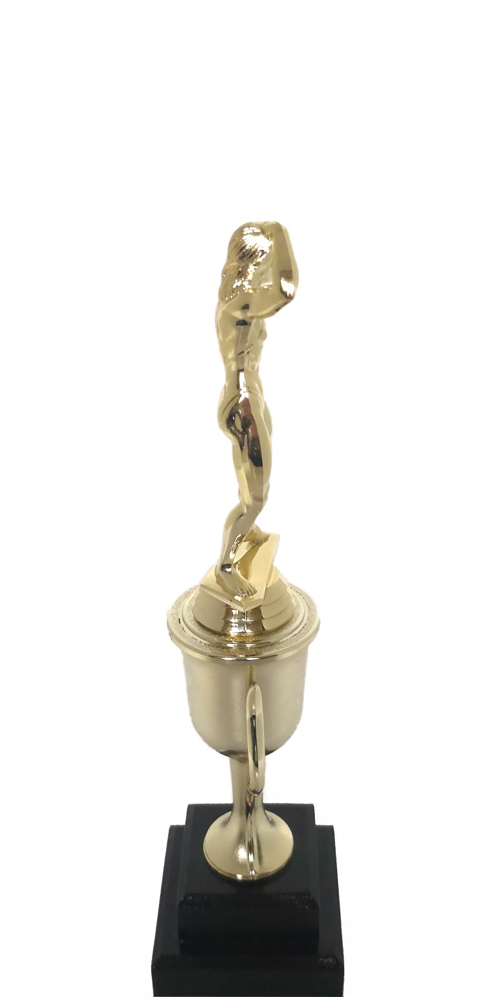 BODY BUILDER FEMALE 245MM