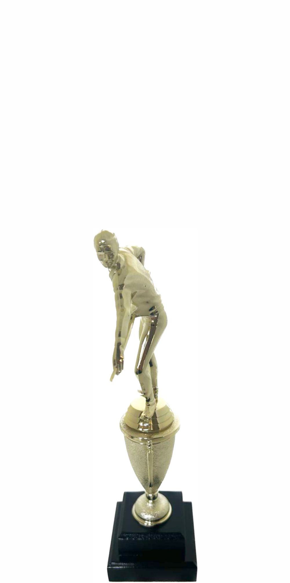 Pool Male Trophy 270mm