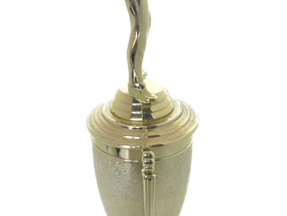 Pool Male Trophy 370mm