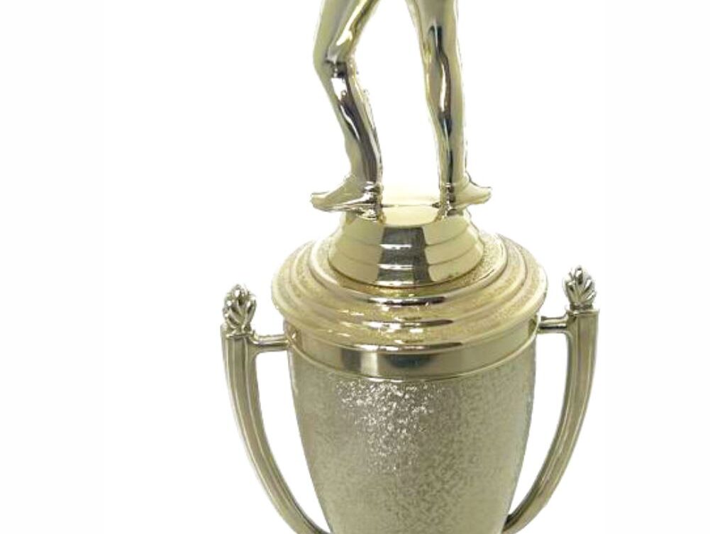 Pool Male Trophy 370mm