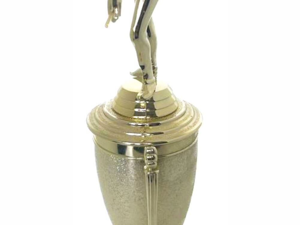 Pool Male Trophy 370mm
