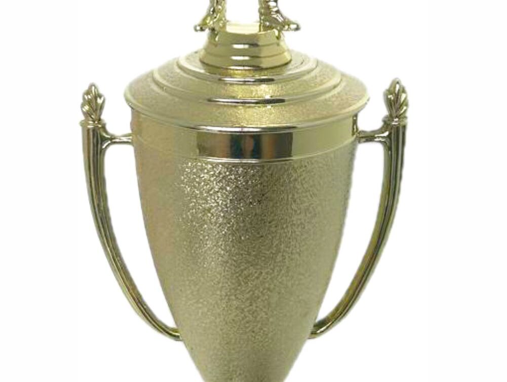 Pool Male Trophy 410mm