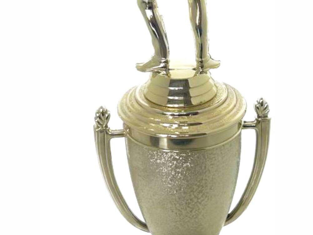 Pool Male Trophy 410mm