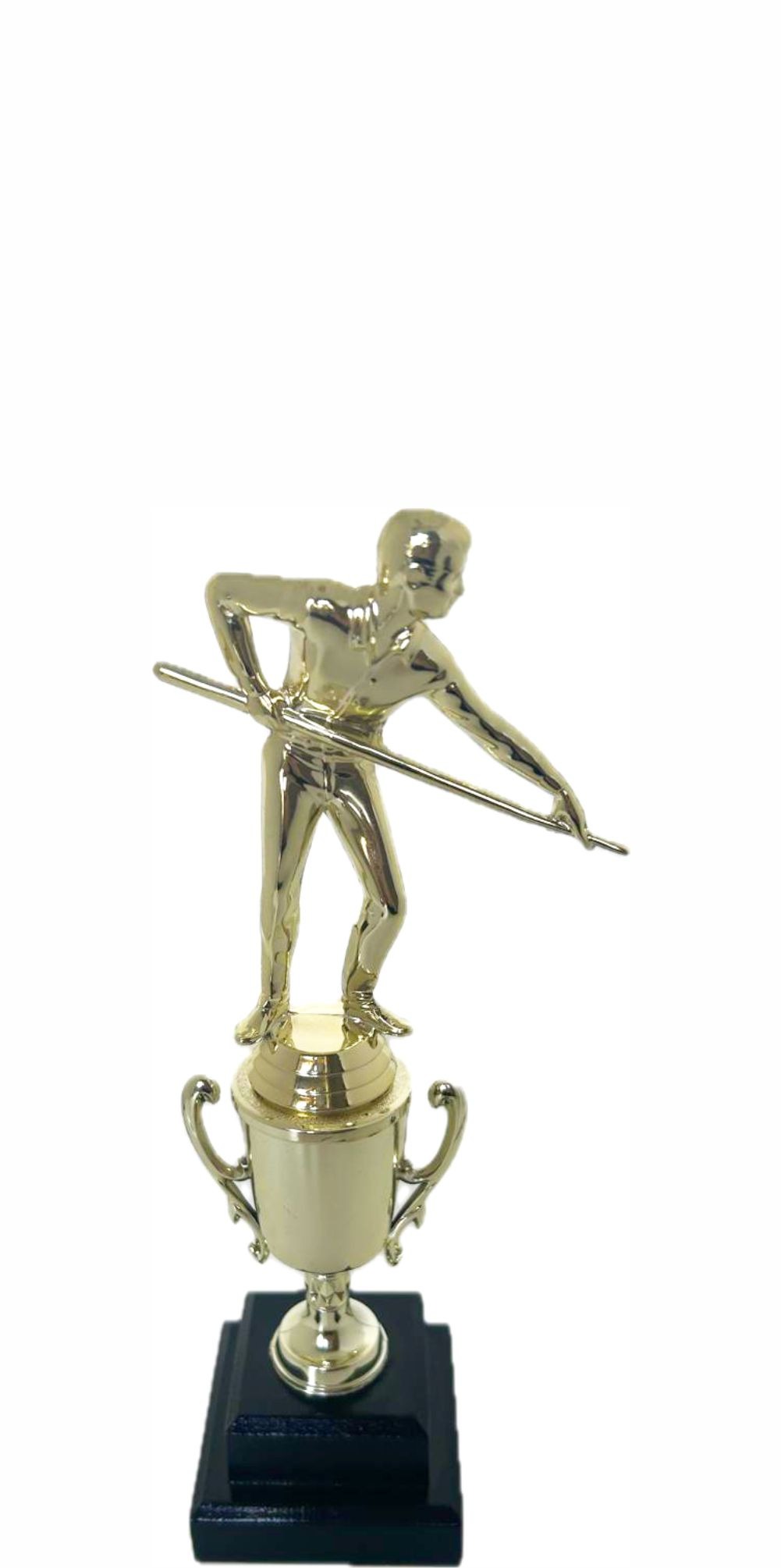 Pool Male Trophy 270mm