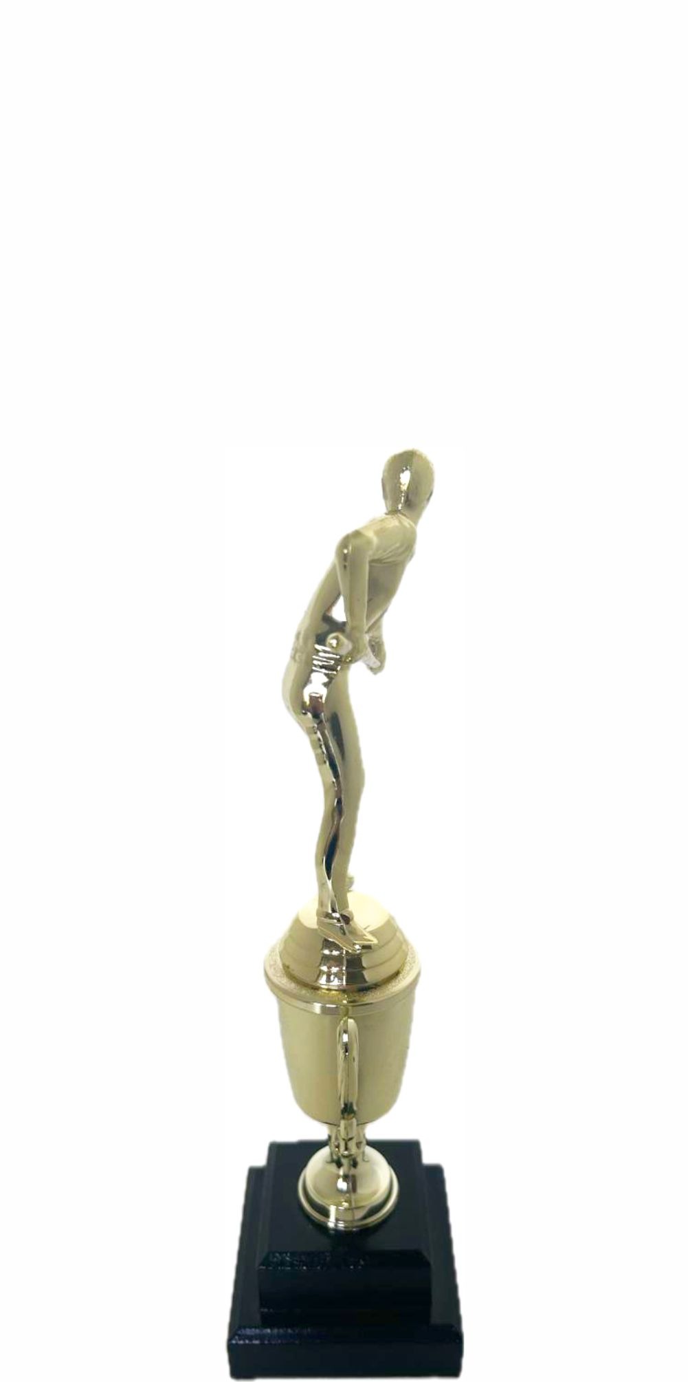Pool Male Trophy 270mm