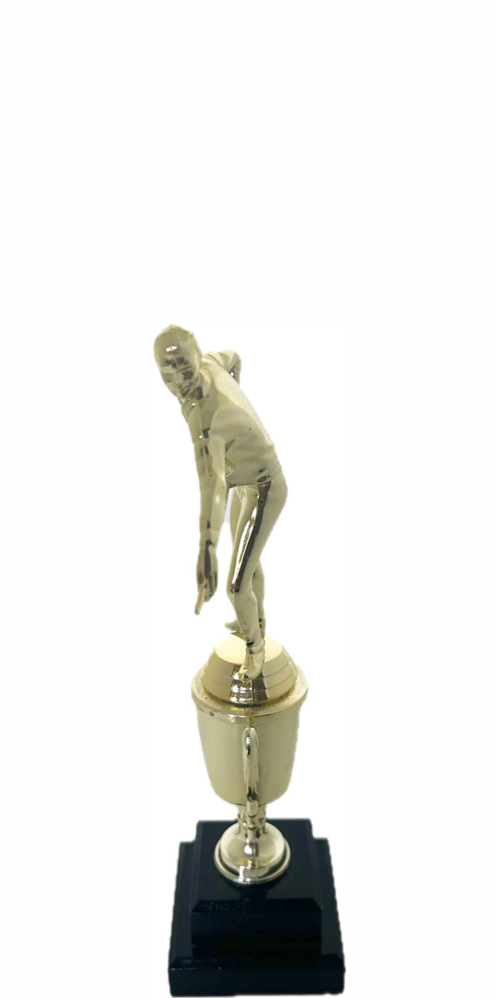 Pool Male Trophy 270mm