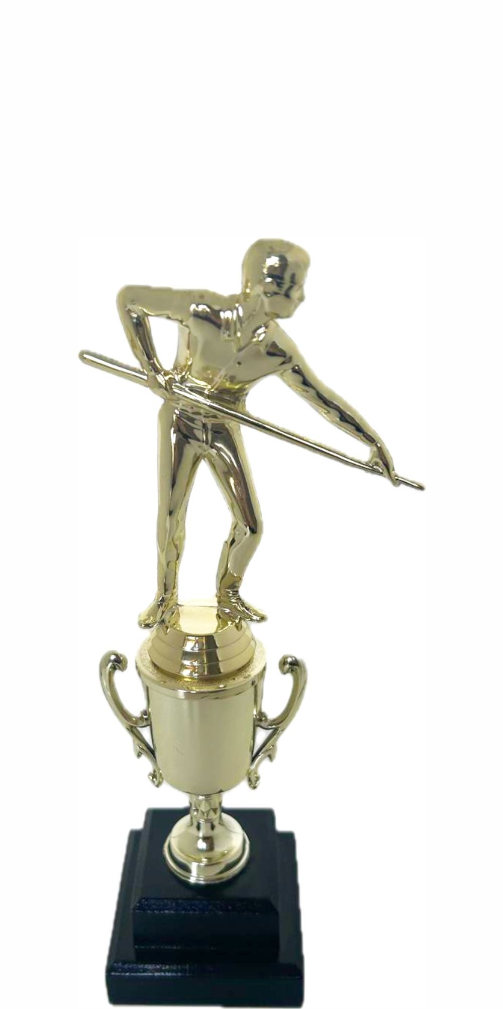 Pool Male Trophy 295mm